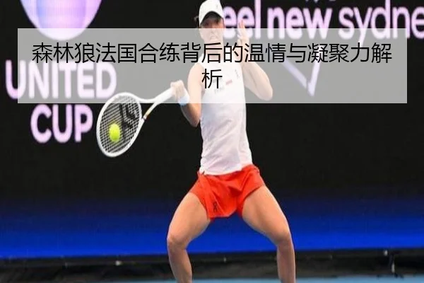 森林狼法国合练背后的温情与凝聚力解析